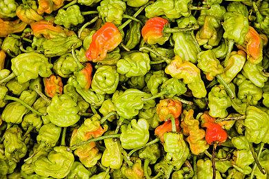 《巨击大乱斗》“奥特曼”DLC国区已解锁 定价42元